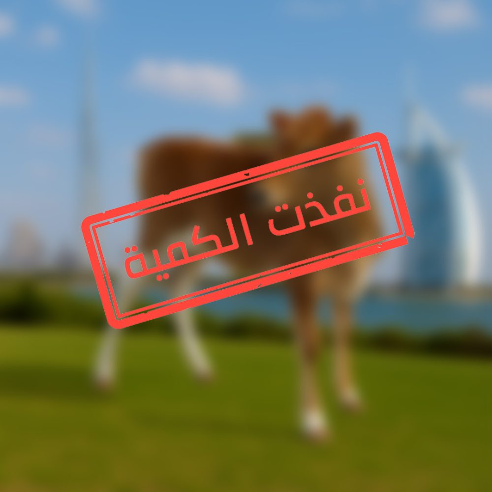عجل
